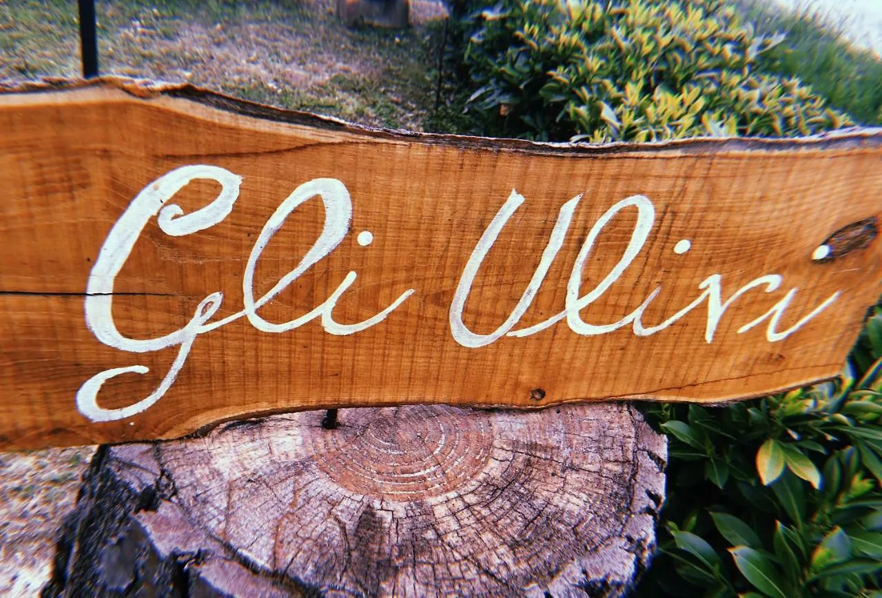 Prázdninový dům Vila Gli Ulivi Cortona Itálie